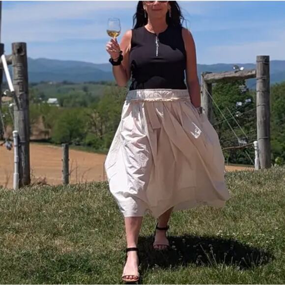 Plan C Black Cream Fit Flare Midi Dress SIZE 10 Romantic Cotton Designer $375 - Picture 6 of 10